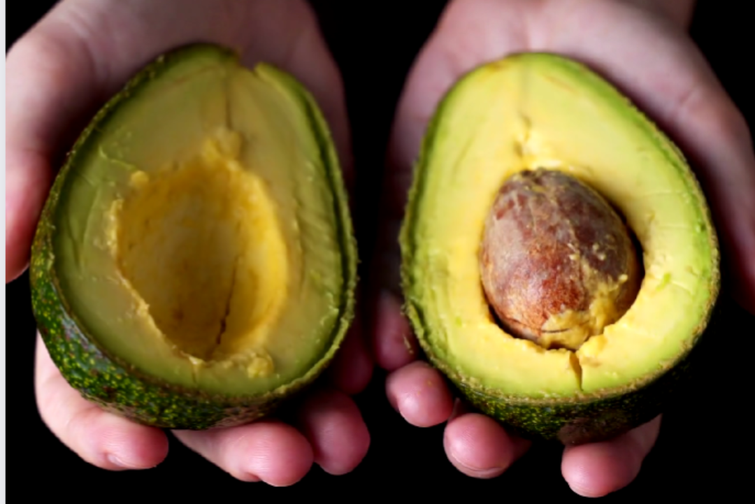 ¿Qué es el aguacate?