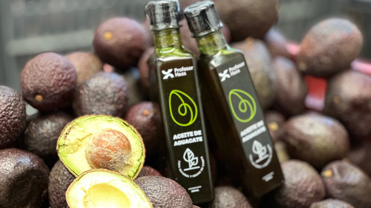 Innovaciones en la Extracción de Aceite de Aguacate – Profesor Hass